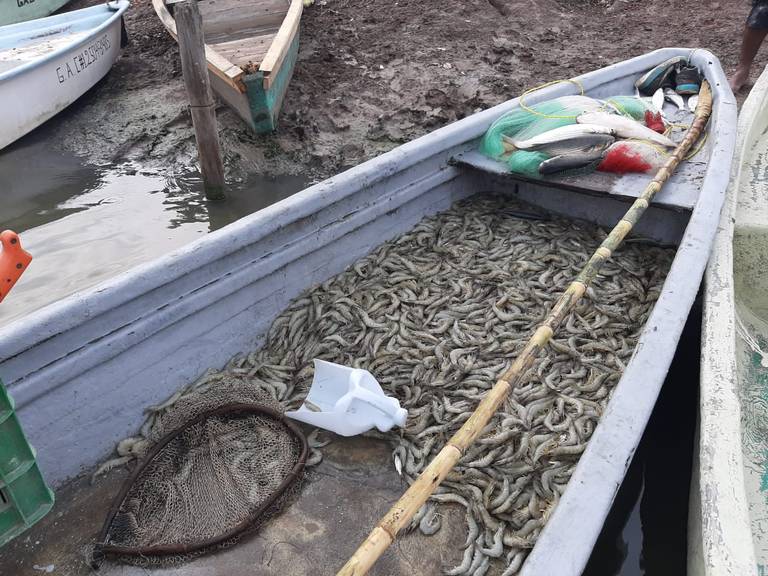 Nacho” salió a pescar con su atarraya; volvió herido de muerte - El Sol de  Sinaloa