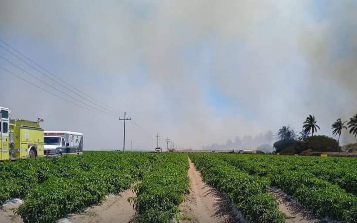 PC estatal llama a la ciudadanía a reportar incendios forestales estacionales al 911 – el Sol de Sinaloa